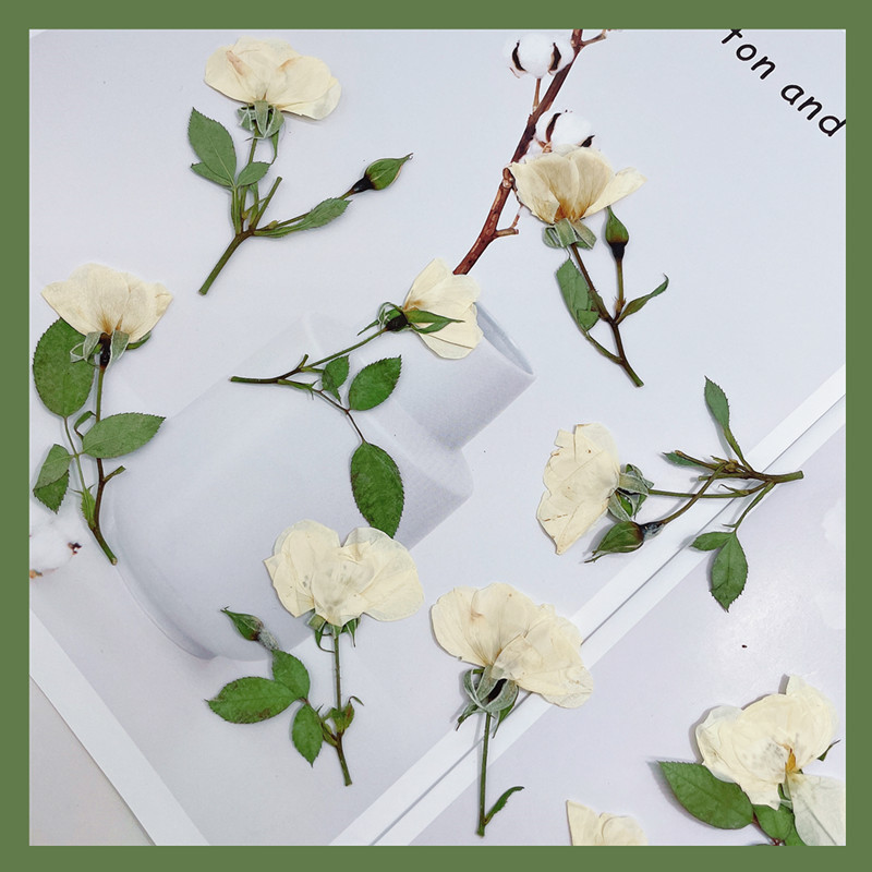 Wedding Card Box - 12 pièces, Branches de roses naturelles